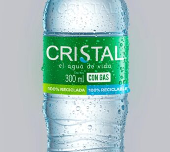 AGUA CON GAS X 300